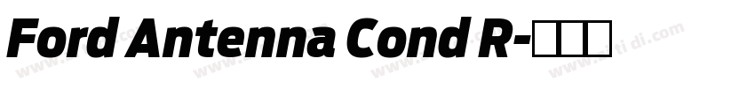 Ford Antenna Cond R字体转换